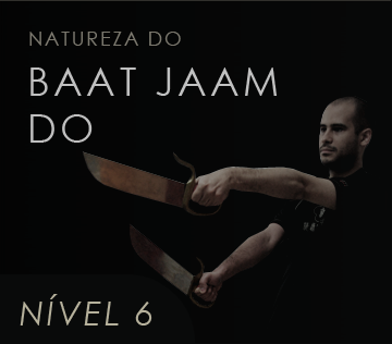 Natureza do Baat Jaam Do explorada no Ving Tsun Experience